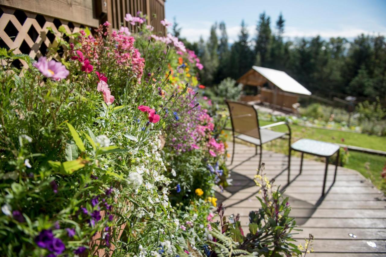 Bear Creek Winery And Lodging Bed & Breakfast Homer Dış mekan fotoğraf